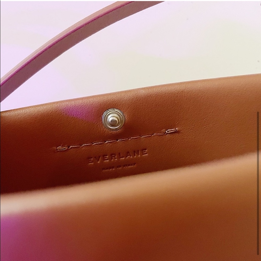 Everlane micro form bag